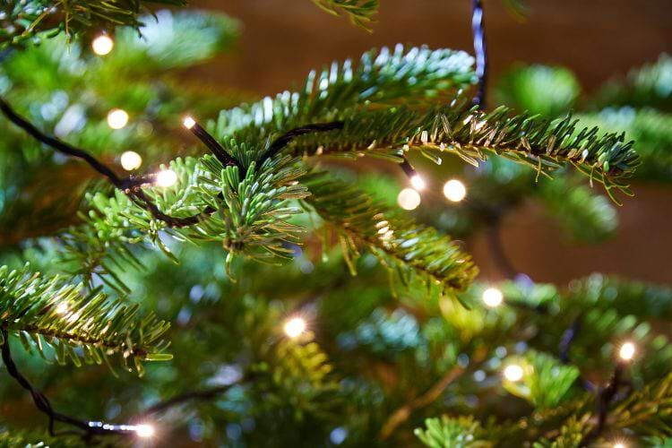 Kerstboomverlichting kiezen welkoop advies